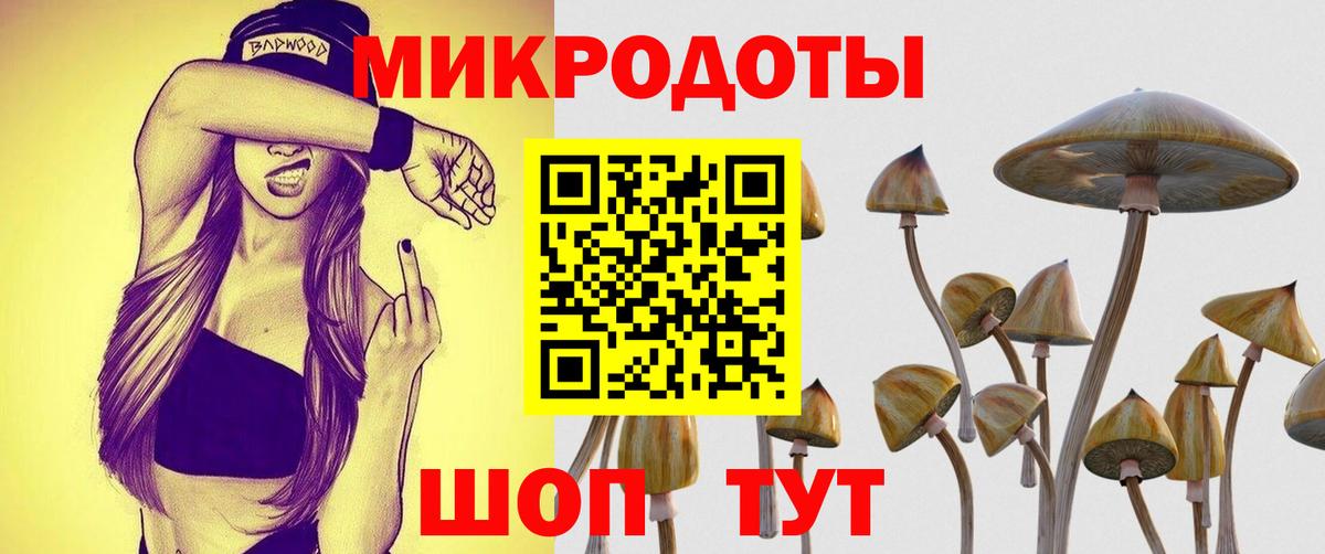Псилоцибиновые грибы Magic Shrooms Владимир