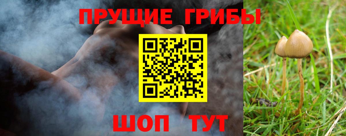 Галлюциногенные грибы прущие грибы  Вход с VPN  Псилоцибиновые грибы мухоморы  Владимир 